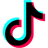 TikTok icon